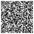 QR code with Protective Security contacts