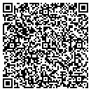 QR code with Cushing Bryce J DDS contacts