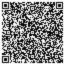 QR code with Cybertown Computers contacts