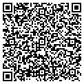 QR code with Vigil Diana C contacts