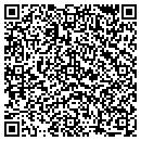 QR code with Pro Auto Sound contacts