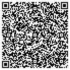 QR code with Pyramid Light And Sound I contacts