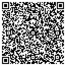 QR code with Ppd Pharmaco contacts