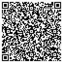 QR code with Project Leap contacts