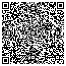 QR code with Clint H Johnson Dvm contacts