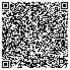 QR code with Pulaski Elementary Middle Schl contacts