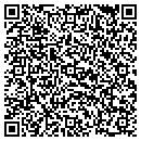 QR code with Premier Sounds contacts