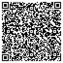 QR code with Premium Sight-N-Sound contacts