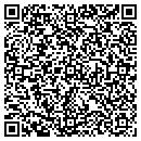 QR code with Professional Sound contacts