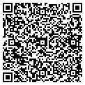 QR code with Ymca contacts