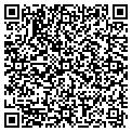 QR code with D-Vine Sounds contacts