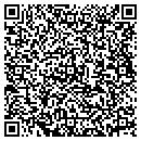 QR code with Pro Sound Solutions contacts