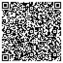 QR code with Puget Sound Steam Inc contacts