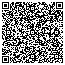 QR code with Pt's Discounts contacts