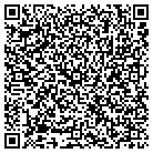QR code with Brian R Rockey D D S Inc contacts