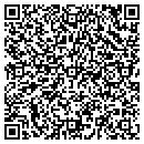 QR code with Castillo Raul DDS contacts
