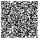 QR code with Cytogenix Inc contacts