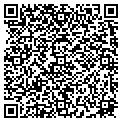 QR code with Modis contacts