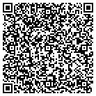 QR code with Plumb Elementary School contacts