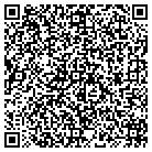 QR code with Babas Electronics Inc contacts