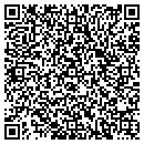 QR code with Prologix Usa contacts