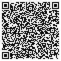 QR code with Owlink contacts