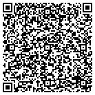 QR code with Pulizzi Engineering Inc contacts