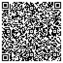 QR code with Pulaski Pre-K Program contacts