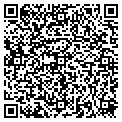 QR code with Nywmg contacts
