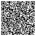 QR code with P Flag contacts