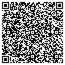 QR code with Blue Daylight Books contacts