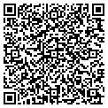 QR code with Hall D contacts