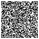 QR code with Precision Zone contacts