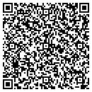 QR code with Pro Connection contacts
