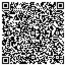 QR code with Cisne Fire Department contacts