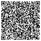 QR code with Princeton Electronics contacts