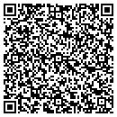 QR code with Collins Sean M DDS contacts