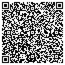 QR code with Pulaski Fire Station contacts