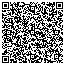 QR code with Bluebird Books contacts