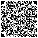 QR code with Pulsar Technologies contacts