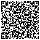 QR code with Cayuga Fire Station contacts