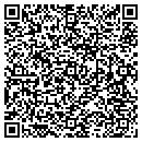 QR code with Carlin Systems Inc contacts