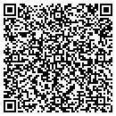 QR code with Promark Electronics contacts