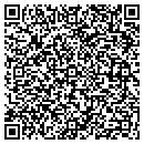 QR code with Protronics Inc contacts