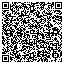 QR code with Pulp Art Book LLC contacts