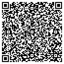 QR code with Pulaski Central School contacts