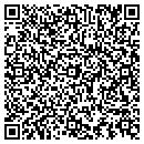 QR code with Castelein Paul T DDS contacts