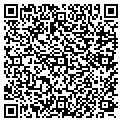 QR code with Techsas contacts