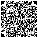 QR code with Costanza Adrian J DDS contacts