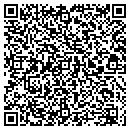 QR code with Carver Public Schools contacts